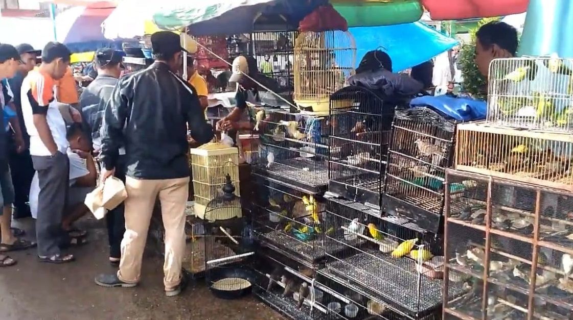 Pasar Pal 7