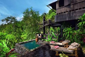<p>Hotel Capella Ubud, milik warga Indonesia, yang baru dua tahun beroperasi di desa Keliki, Tegalalang, Kabupaten Gianyar, Bali. / Twitter @CapellaUbud</p>
