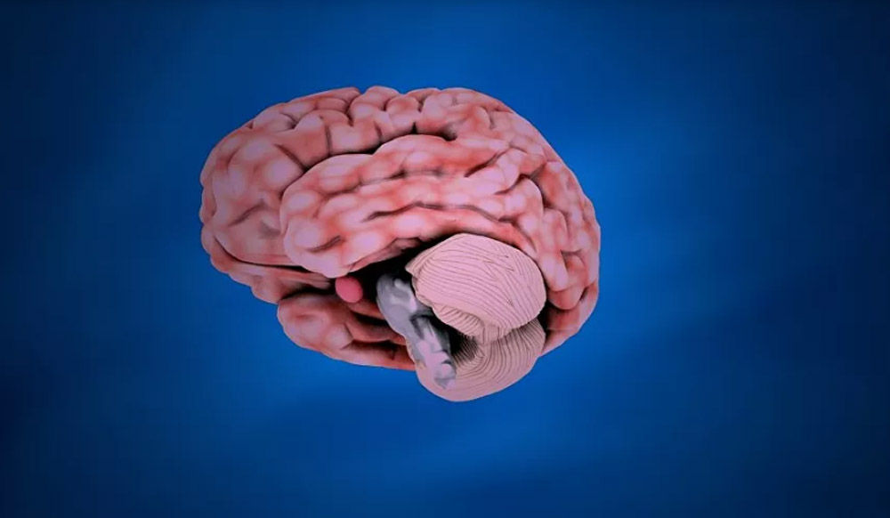 Mitos Penggunaan 10 Persen Otak Manusia