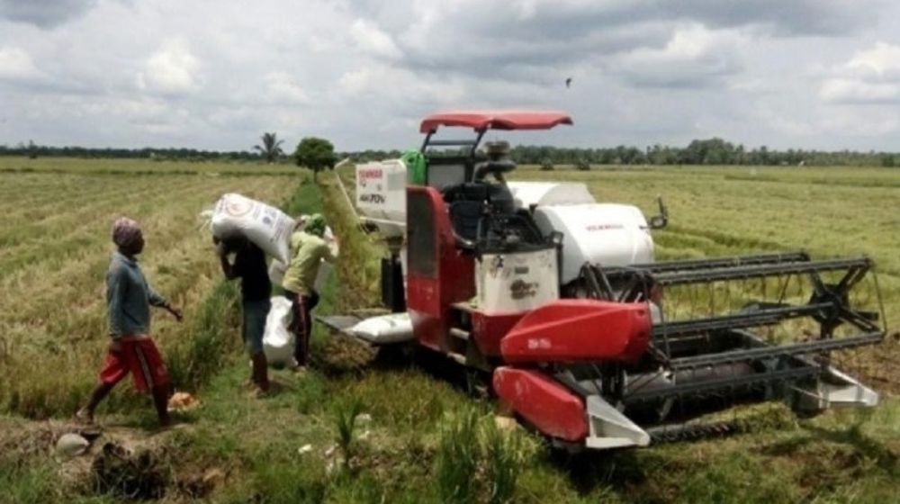 <p>Petani tengah memanen padi. / Dok. Kementan</p>
