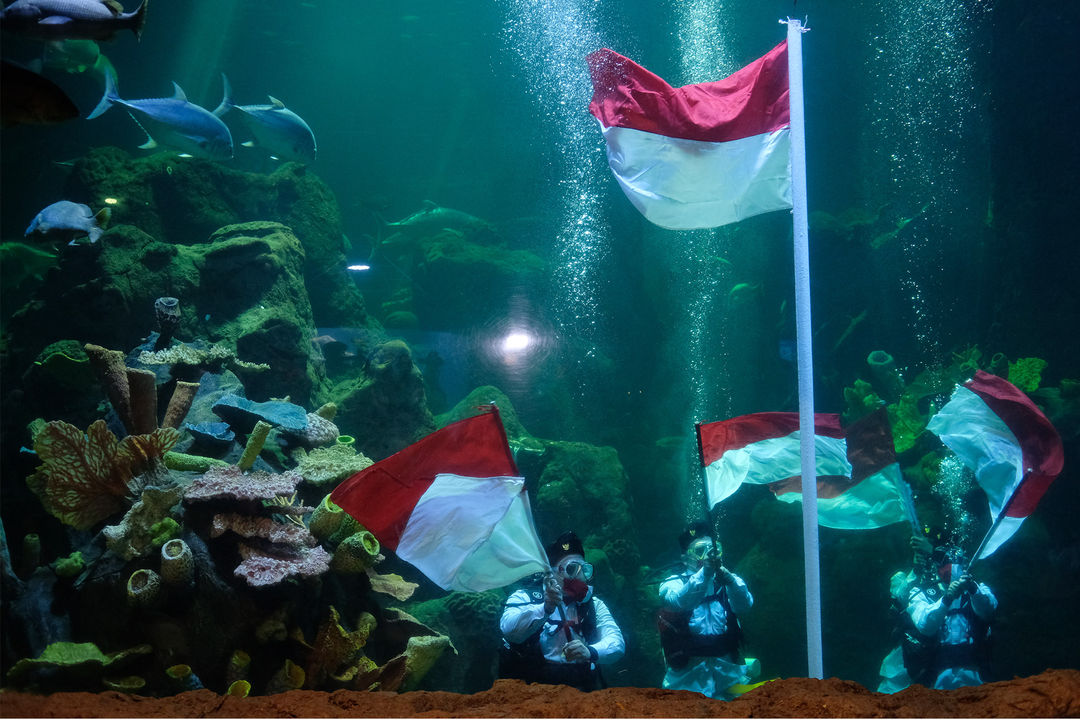 <p>Sejumlah penyelam mengibarkan Bendera Merah Putih saat upacara pengibaran Bendera Peringatan HUT ke-75 RI di Akuarium Utama Sea Word, Ancol, Jakarta, Senin, 17 Agustus 2020. Pengibaran Bendera Merah Putih dan Pembacaan Teks Proklamasi oleh empat orang penyelam profesional Sea Word Ancol tersebut berlangsung hikmat untuk memperingati Hari Kemerdekaan RI. Foto: Ismail Pohan/TrenAsia</p>
