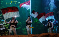 <p>Sejumlah penyelam mengibarkan Bendera Merah Putih saat upacara pengibaran Bendera Peringatan HUT ke-75 RI di Akuarium Utama Sea Word, Ancol, Jakarta, Senin, 17 Agustus 2020. Pengibaran Bendera Merah Putih dan Pembacaan Teks Proklamasi oleh empat orang penyelam profesional Sea Word Ancol tersebut berlangsung hikmat untuk memperingati Hari Kemerdekaan RI. Foto: Ismail Pohan/TrenAsia</p>
