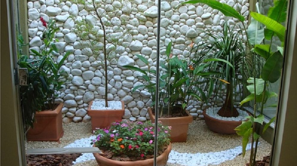 <p>Desain taman di belakang rumah / Pinterest</p>
