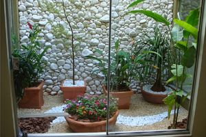 <p>Desain taman di belakang rumah / Pinterest</p>