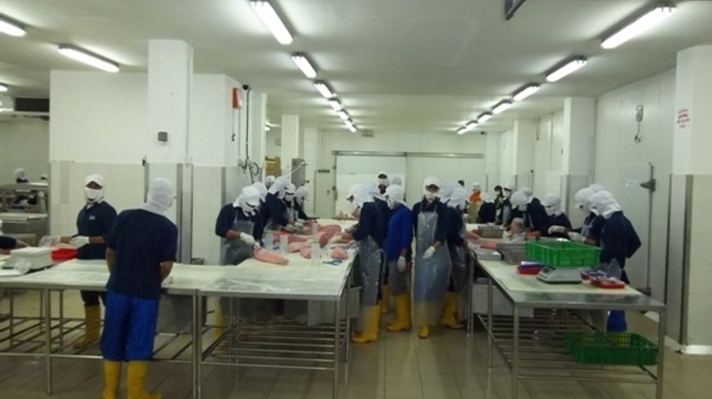 <p>PT Era Mandiri Cemerlang Tbk. (IKAN) menargetkan bakal meraup nilai kontrak senilai Rp86,11 miliar sepanjang 2020, Selasa, 18 Agustus 2020/ Sumber: Indonesiaseafood.net</p>
