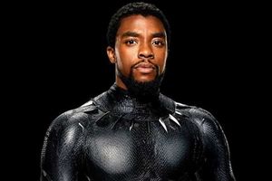 <p>Chadwick Boseman saat memerangkan, Black Panther</p>
