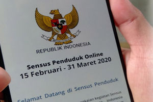 Dianggap Sukses, 54,1 Juta Orang Indonesia Ikut Sensus Penduduk Online