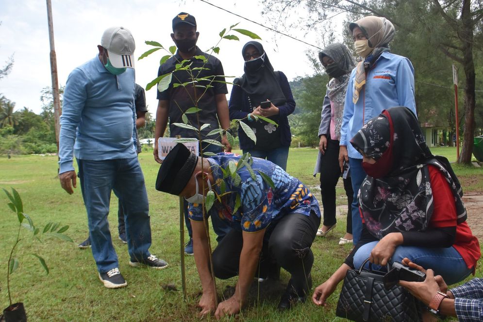 Wali Kota Padang Mahyeldi melakukan penanaman pohon di kawasan Pasir Jambak/Foto: ist