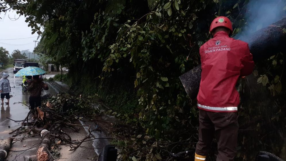 Relawan TRC Semen Padang tengah memotong kayu yang tumbang di Jalan Raya Padang-Solok/Foto: ist