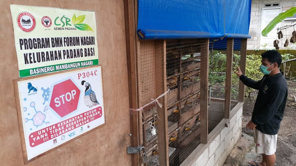 Usaha Rumah Dagang budidaya puyuh petelur yang dikelola oleh Forum Nagari Kelurahan Padang Besi, Kecamatan Lubuk Kilangan, Kota Padang/Foto: ist