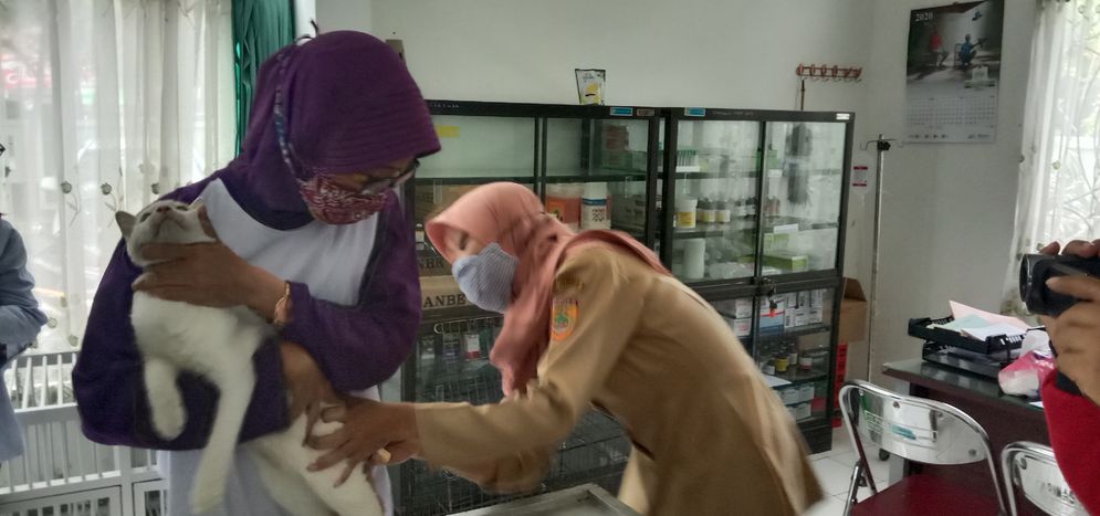 Vaksinasi anti rabies oleh Dispertan Sukoharjo