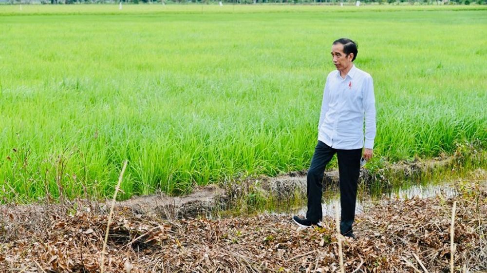 <p>Presiden Joko Widodo / Setneg.go.id</p>
