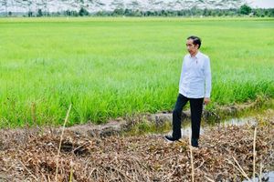 <p>Presiden Joko Widodo / Setneg.go.id</p>
