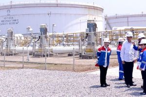<p>Presiden Joko Widodo Meninjau PT Trans Pacific Petrochemical Indotama (TPPI) milik PT Pertamina (Persero) di Tuban, Jawa Timur. / Dok. Istimewa</p>

