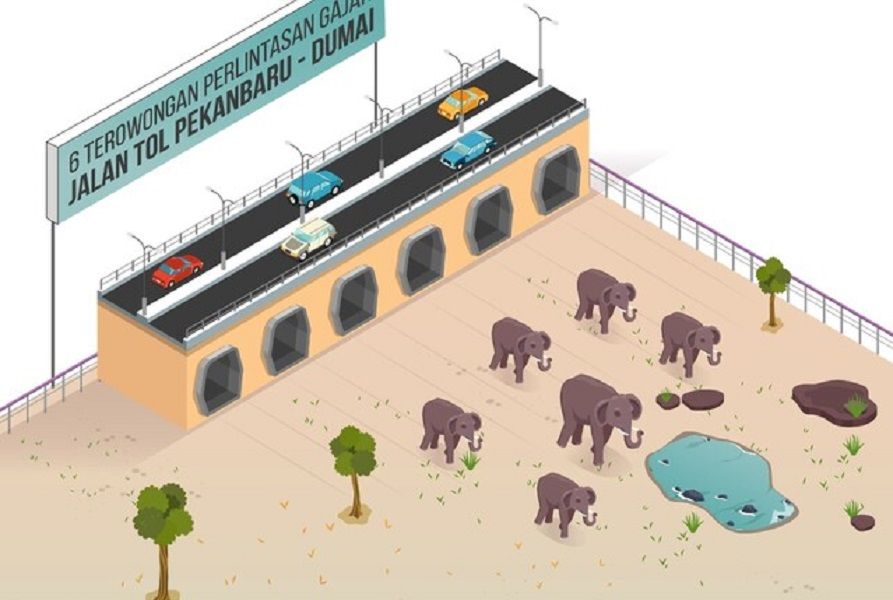 <p>Ilustrasi perlintasan gajah di bawah ruas tol Pekanbaru-Dumai / Pu.go.id</p>
