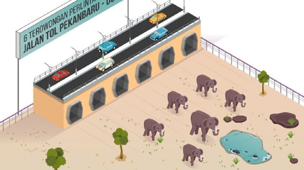 <p>Ilustrasi perlintasan gajah di bawah ruas tol Pekanbaru-Dumai / Pu.go.id</p>
