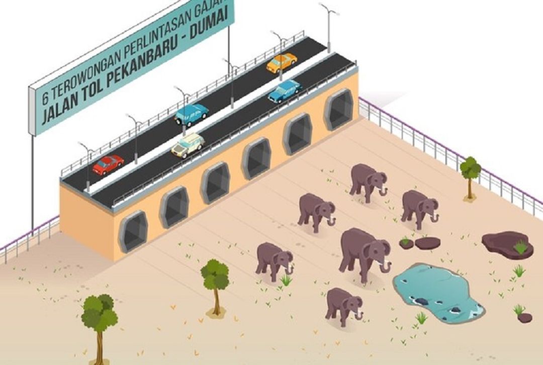 <p>Ilustrasi perlintasan gajah di bawah ruas tol Pekanbaru-Dumai / Pu.go.id</p>
