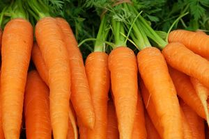 <p>Wortel oranye/foto:ZENB</p>
