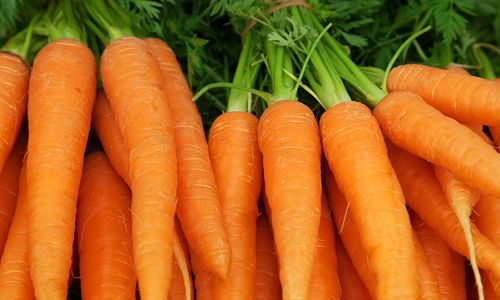 <p>Wortel oranye/foto:ZENB</p>

