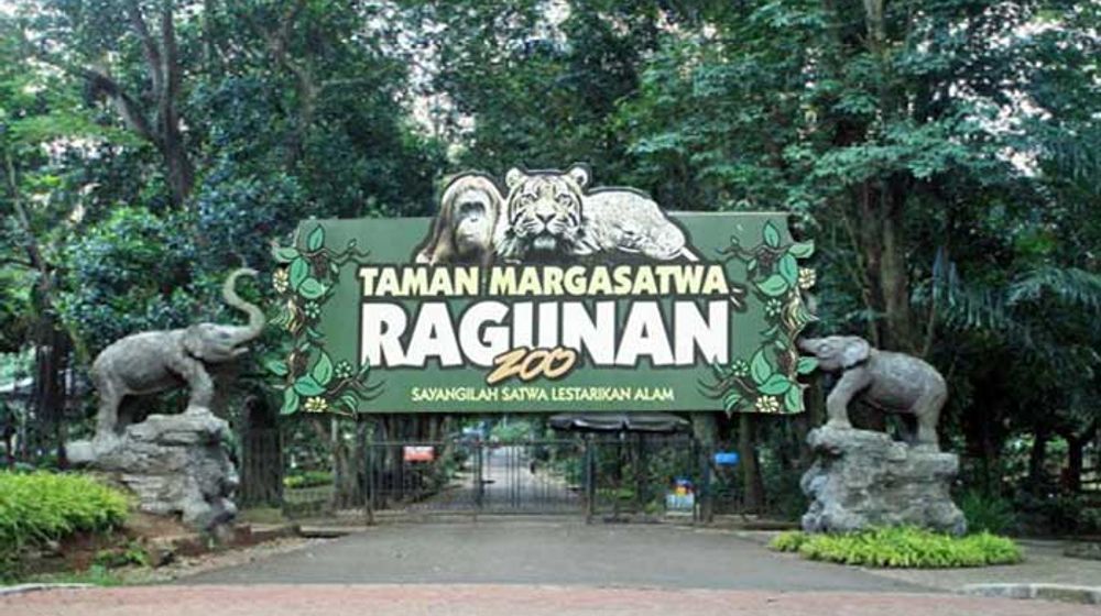 Buka H+1 Lebaran,  Baca Dulu Syarat Kunjungan ke Taman Margasatwa Ragunan