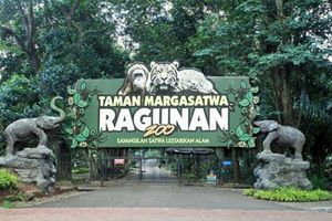 Buka H+1 Lebaran,  Baca Dulu Syarat Kunjungan ke Taman Margasatwa Ragunan