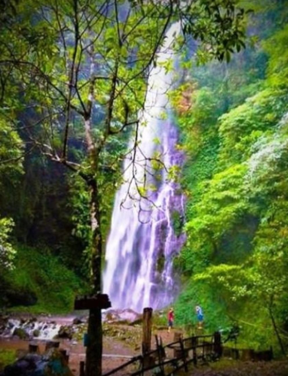 Air Terjun Sinar Tiga, salah satu destinasi wisata unggulan di Desa Harapan Jaya. 