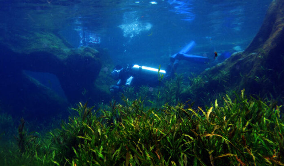 Diving Proklamator Universitas Bung Hatta mengabadikan keindahan Mato Aia Dingin Paninggahan/Foto: ist