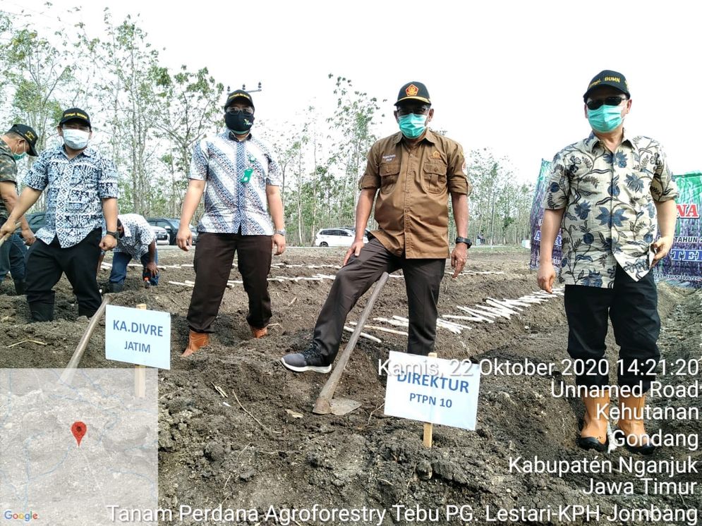 Direktur PTPN X, Aris Toharisman bersama Kadivre Jatim Perum Perhutani, Oman Suherman melakukan tanam perdana lahan Agroforestry di Ngujung Barat, Kamis (22/10/2020) lalu.