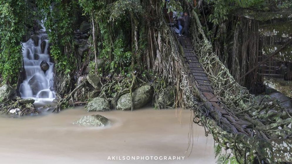 Objek wisata Jembatan Aka di Pesisir Selatan/Foto: Akilson Photography