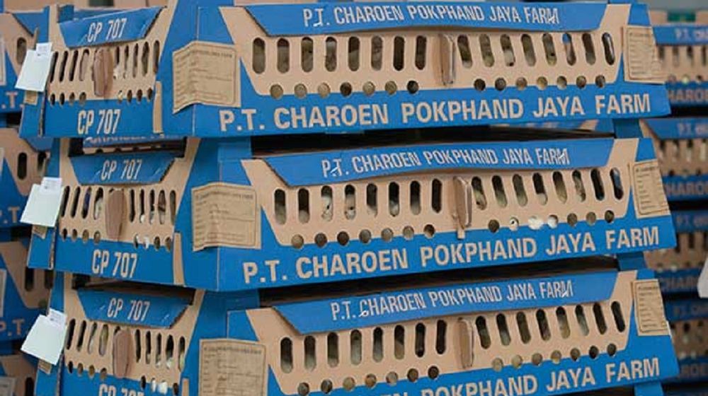 <p>Produk Day Old Chicks (DOC) adalah salah satu bisnis andalan PT Charoen Pokphand Indonesia Tbk (CPIN) / Dok. Perseroan</p>
