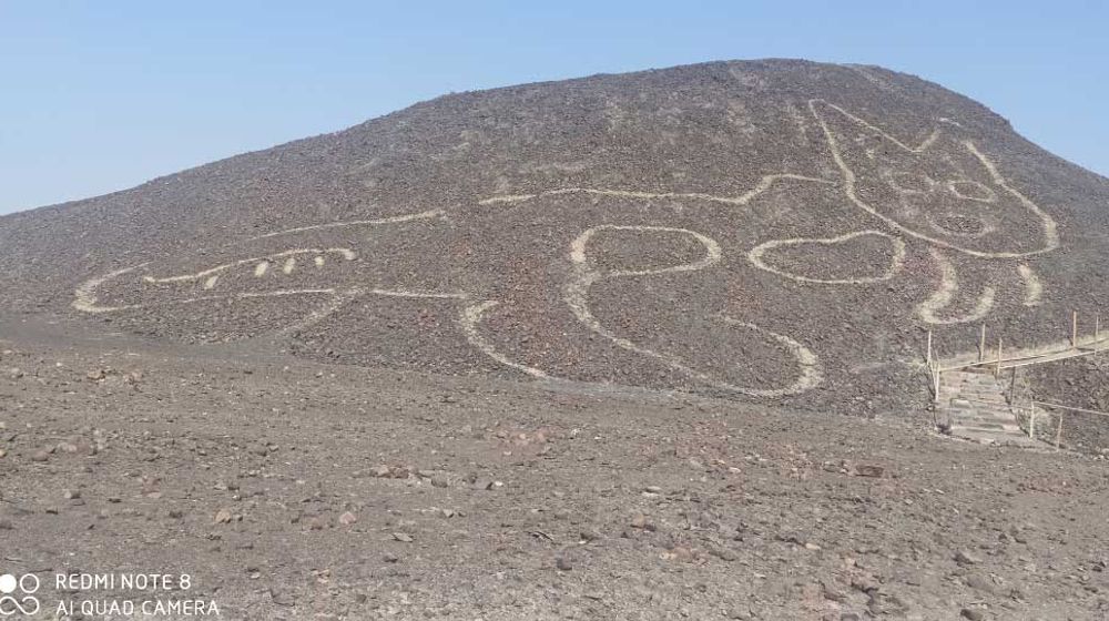 <p>Geoglyphkucing raksasa yang ditemukan di sebuah bukit di Peru./Foto: Johny Isla/Ministerio de Cultura</p>
