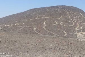 <p>Geoglyphkucing raksasa yang ditemukan di sebuah bukit di Peru./Foto: Johny Isla/Ministerio de Cultura</p>
