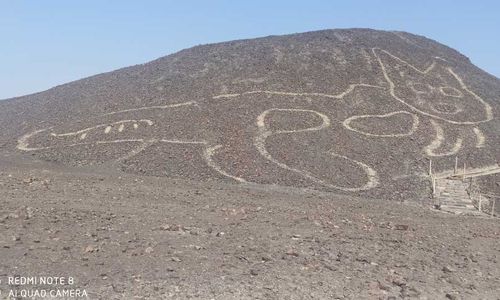 <p>Geoglyphkucing raksasa yang ditemukan di sebuah bukit di Peru./Foto: Johny Isla/Ministerio de Cultura</p>
