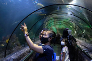 <p>Wisatawan menikmati waktu berlibur di Seaword, Taman Impian Jaya Ancol, Jakarta, Kamis, 29 Oktober 2020. Foto: Ismail Pohan/TrenAsia</p>
