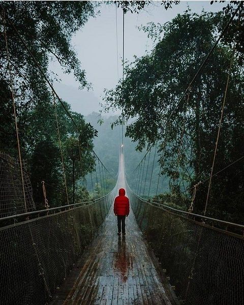 <p>Jembatan gantung terpanjang di Indonesia yang terletak di kawasan Taman Nasional Gunung Gede Pangrango (TNGGP) di Desa Gedepangrango, Kecamatan Kadudampit, Kabupaten Sukabumi, Jawa Barat / Facebook @situgunungsuspensionbridge </p>
