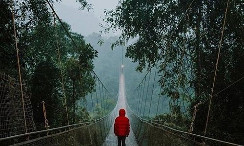 <p>Jembatan gantung terpanjang di Indonesia yang terletak di kawasan Taman Nasional Gunung Gede Pangrango (TNGGP) di Desa Gedepangrango, Kecamatan Kadudampit, Kabupaten Sukabumi, Jawa Barat / Facebook @situgunungsuspensionbridge </p>
