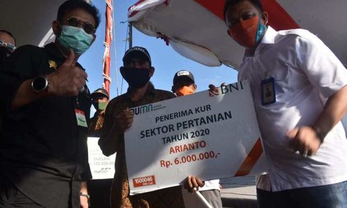 <p>Penyaluran KUR di sektor pertanian. / BNI</p>