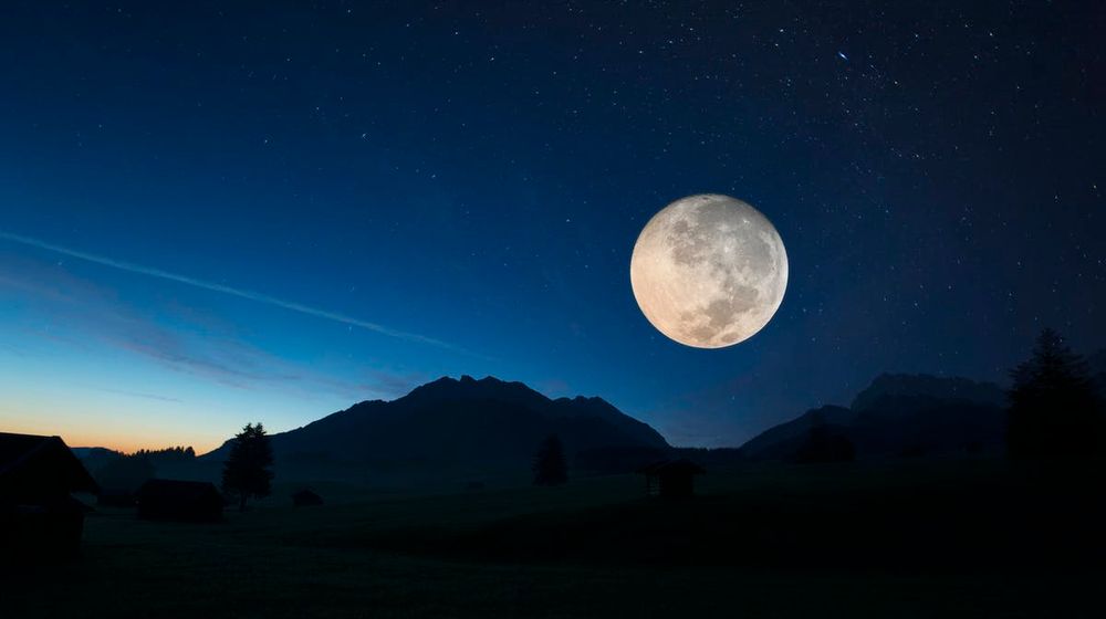 <p>Foto:The Conversation</p>
