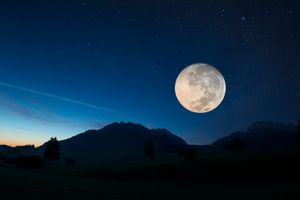 <p>Foto:The Conversation</p>
