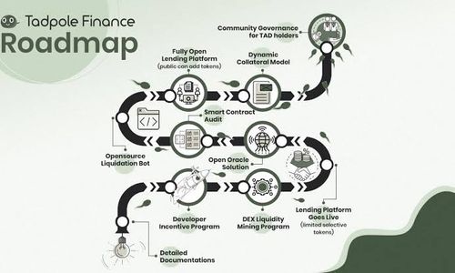 Perkenalkan Aset Kripto Unik ‘Token Cebong’ Inovasi Sistem DeFi yang Berjalan Otomatis