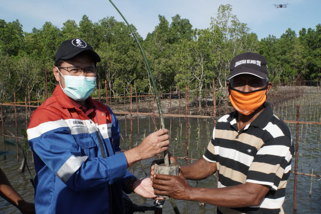 Pertamina tanam pohon di Karingau Kota Balikpapan