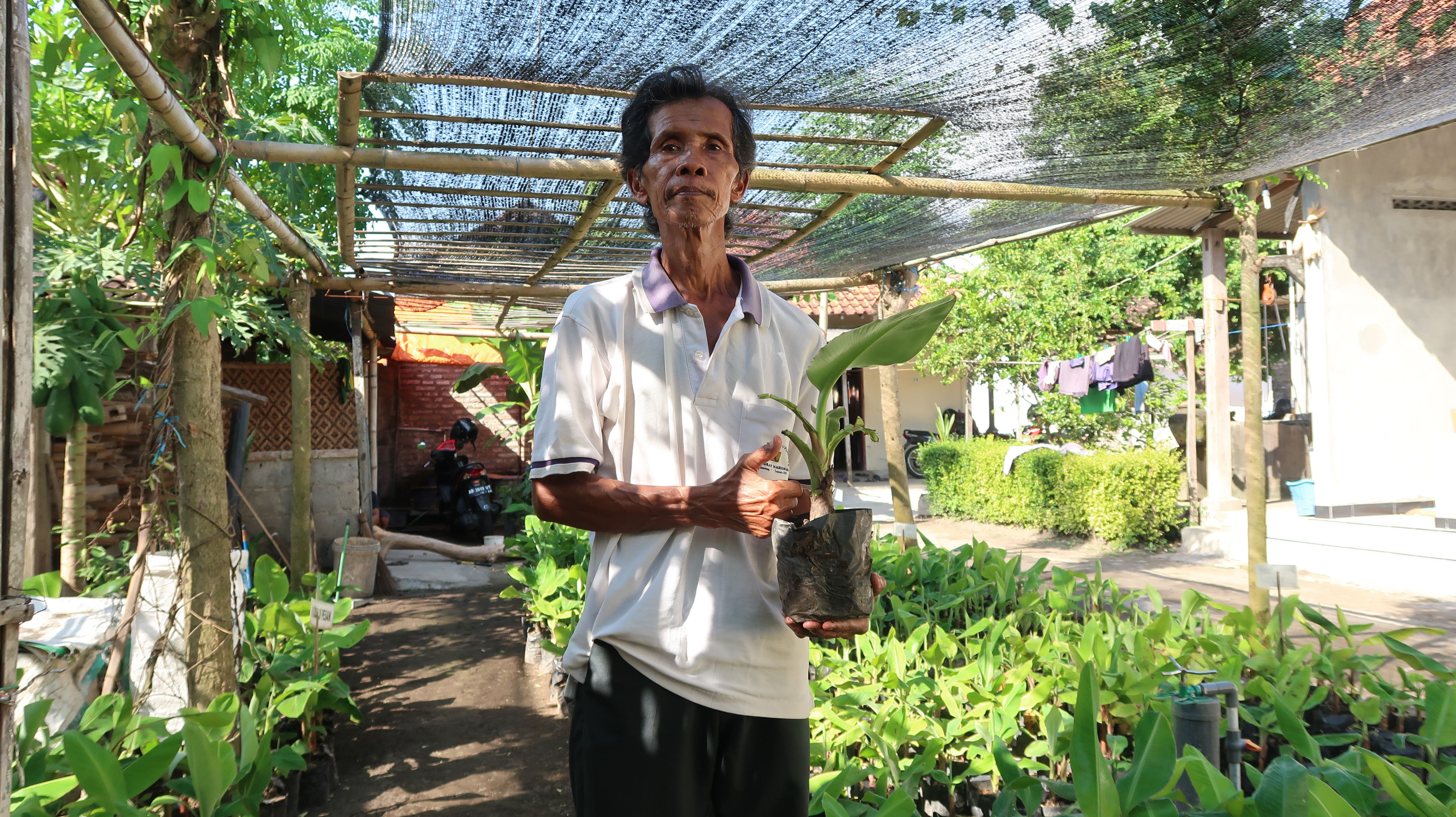 Lasiyo Syaifudin