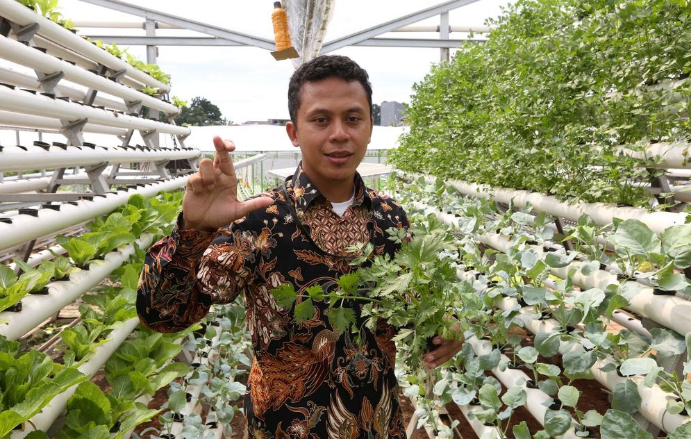 IOT : Urban Farming bisa dikendalikan dengan teknologi internet of thing (IoT). 