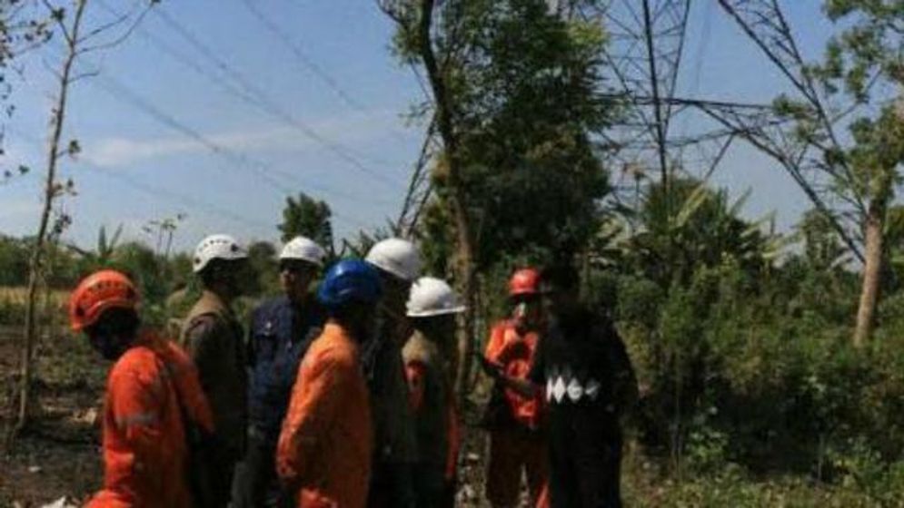 Pemotongan pohon oleh petugas PLN