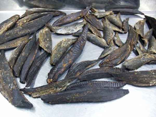 ikan kayu Bitung 