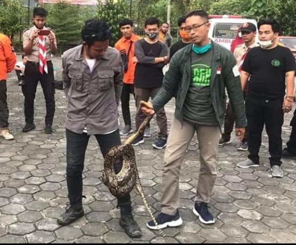 Exalos Indonesia saat memberi edukasi penanganan ular