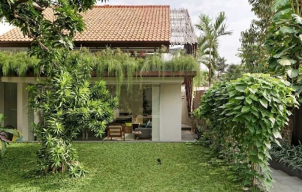 Ilustrasi rumah berkonsep tropis.