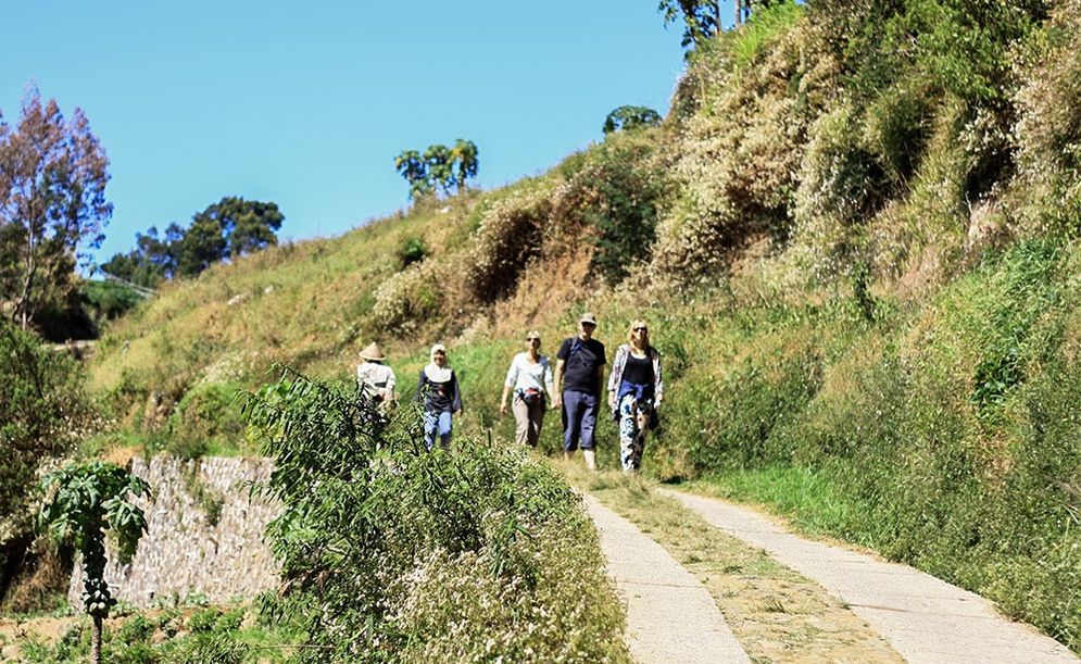 Pemandangan di Wonosobo 