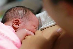 <p>Ilustrasi/halodoc</p>
