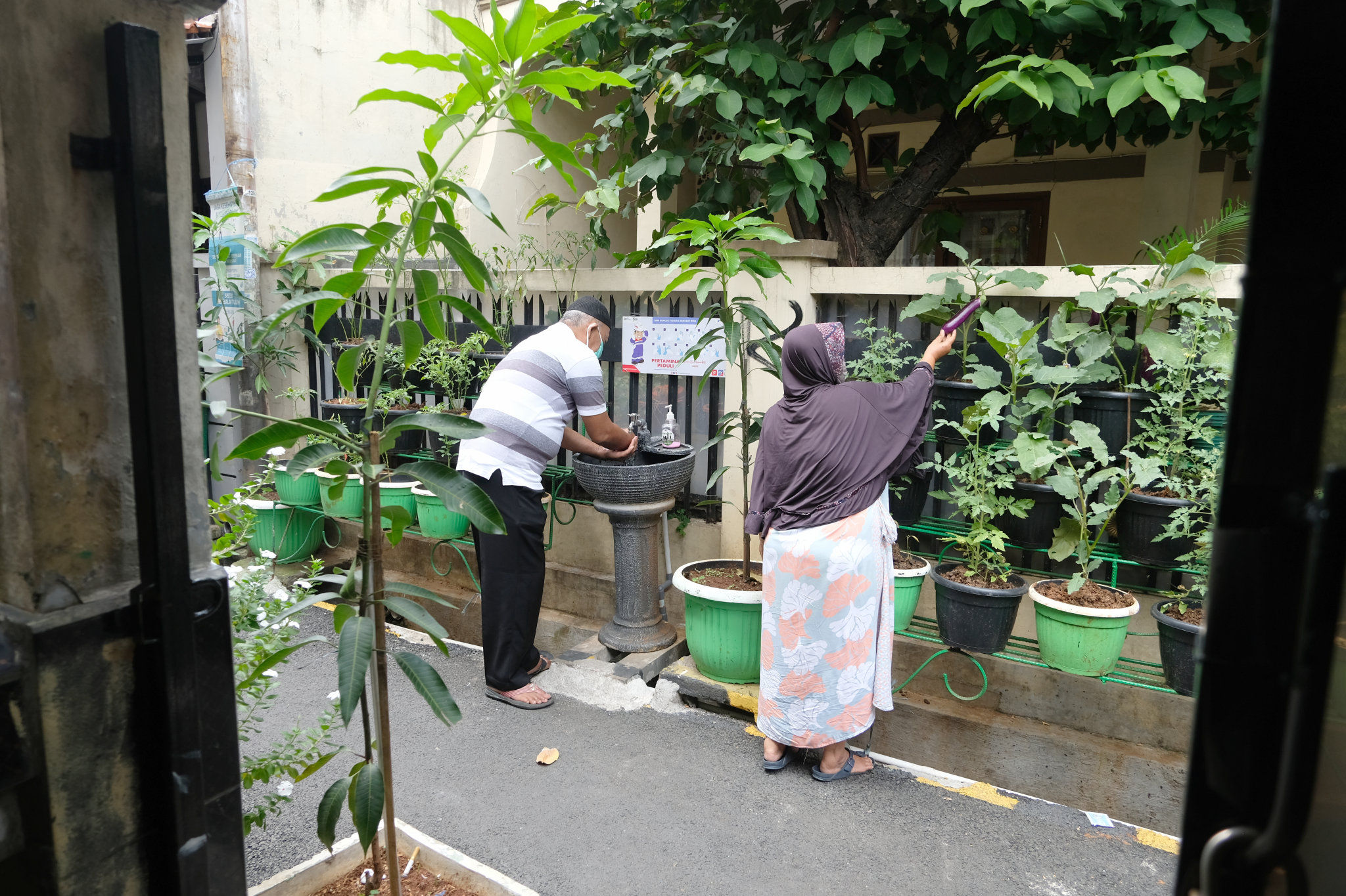 <p>Warga melakukan perawatan tanaman hidroponik di taman Kampung Sehat pemukiman warga RW 6 Kelurahan Utan Kayu Selatan, Matraman, Jakarta Timur, Kamis, 12 November 2020. Foto: Ismail Pohan/TrenAsia</p>
